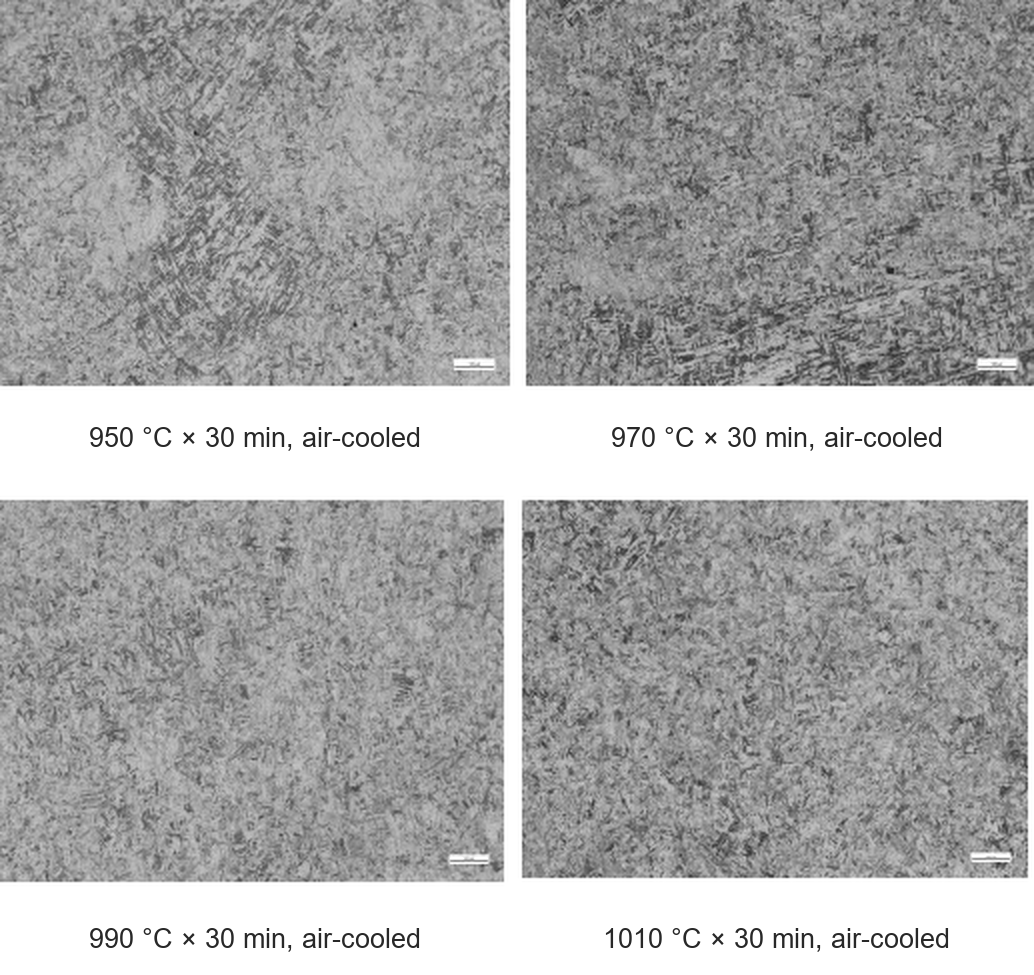 Microstructure after 30-minute normalizing holds at 950, 970, 990 and 1010 C, air-cooled: grain refinement becomes effective at 990-1010 C