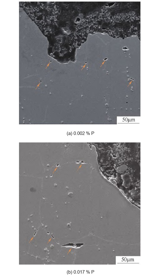 Longitudinal sections below the rupture fracture in Inconel 706 at 0.002 and 0.017 percent phosphorus showing intergranular cracks and voids marked by arrows