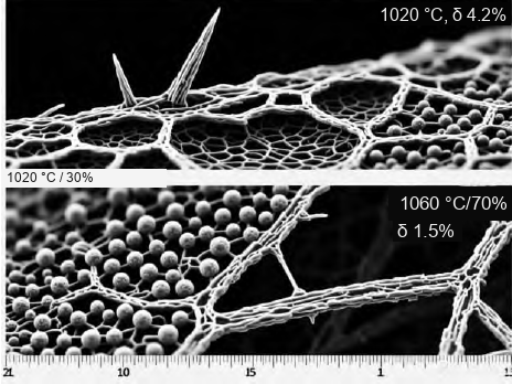 SEM micrographs of Inconel 718 (GH4169) forge microstructure: acicular delta phase at grain boundaries after 1020 C/30% forging versus short rod-like delta and spherical gamma-prime precipitates after 1060 C/70% forging